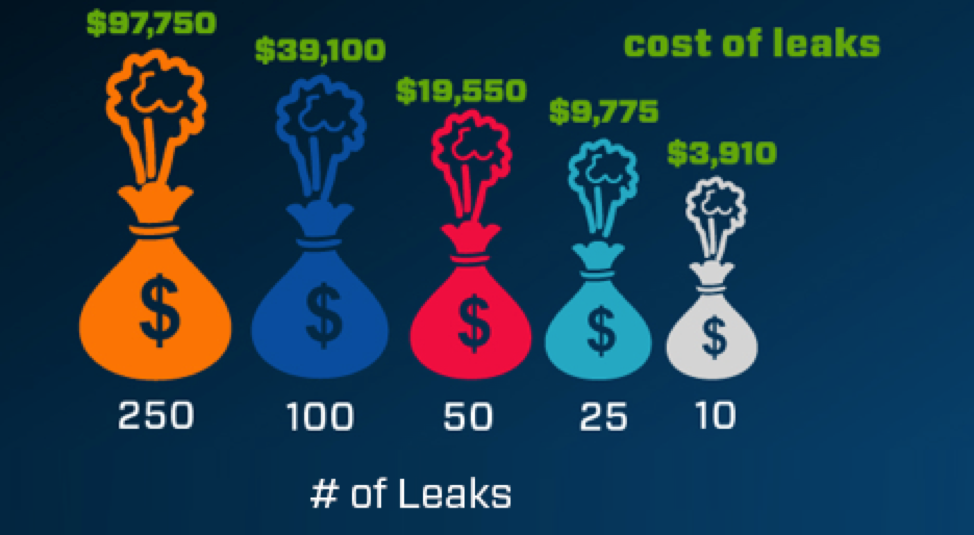 cost-of-leaks